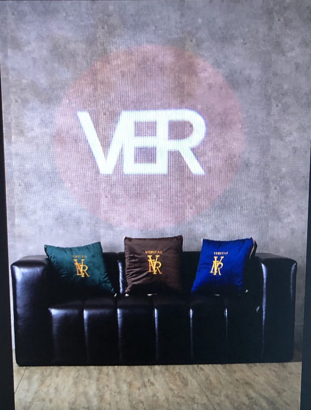 VERITAS 刺繡抱枕